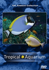 DVD Tropisch Aquarium